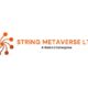 String Metaverse Limited 80x80